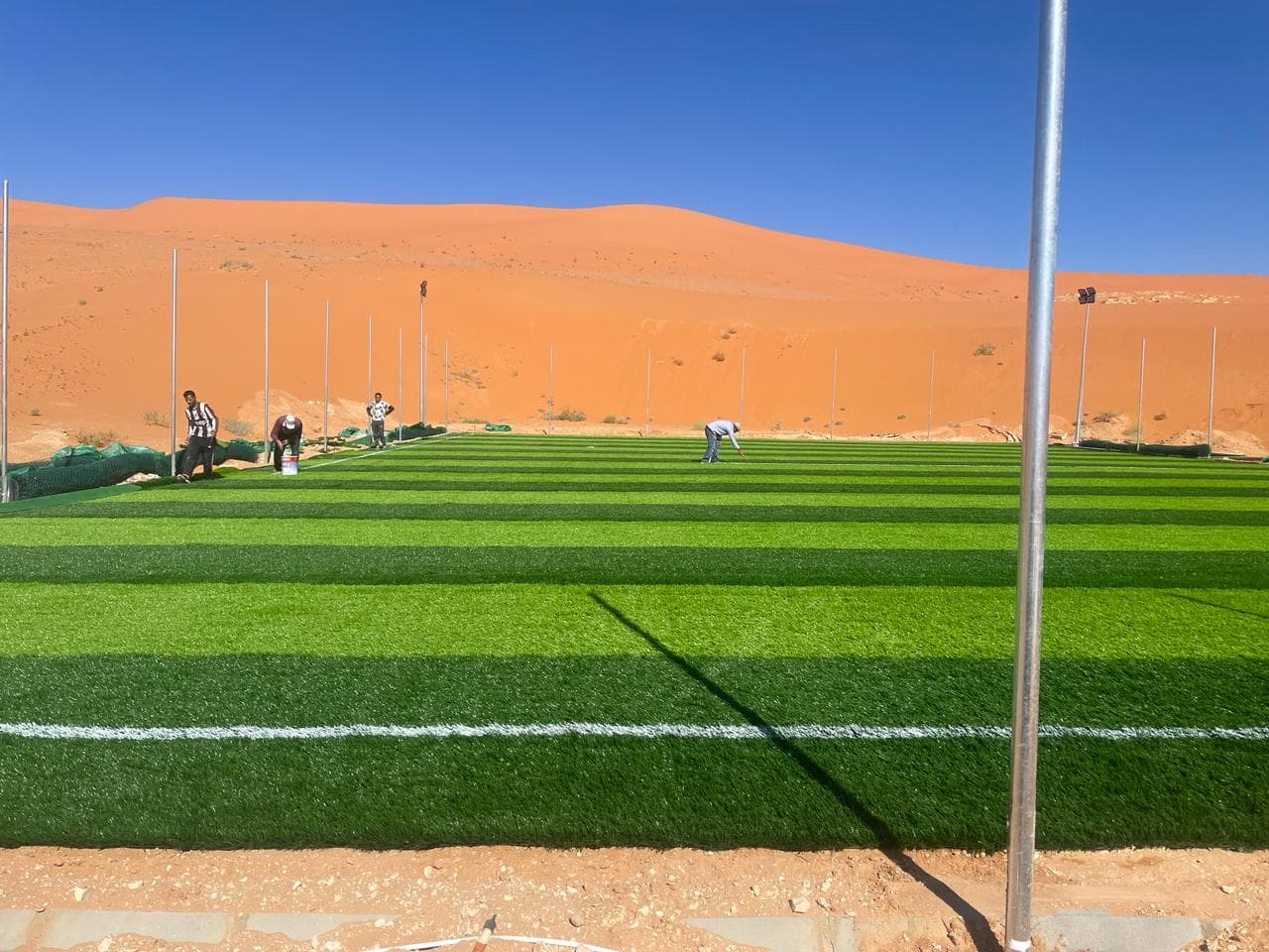 العشب الصناعي - حديقة خضراء طوال السنة - صورة 3